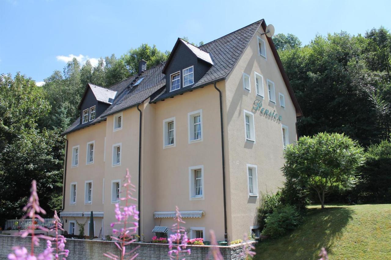 Appartements Im "Landhaus Am Frohnauer Hammer" Annaberg-Buchholz Eksteriør bilde