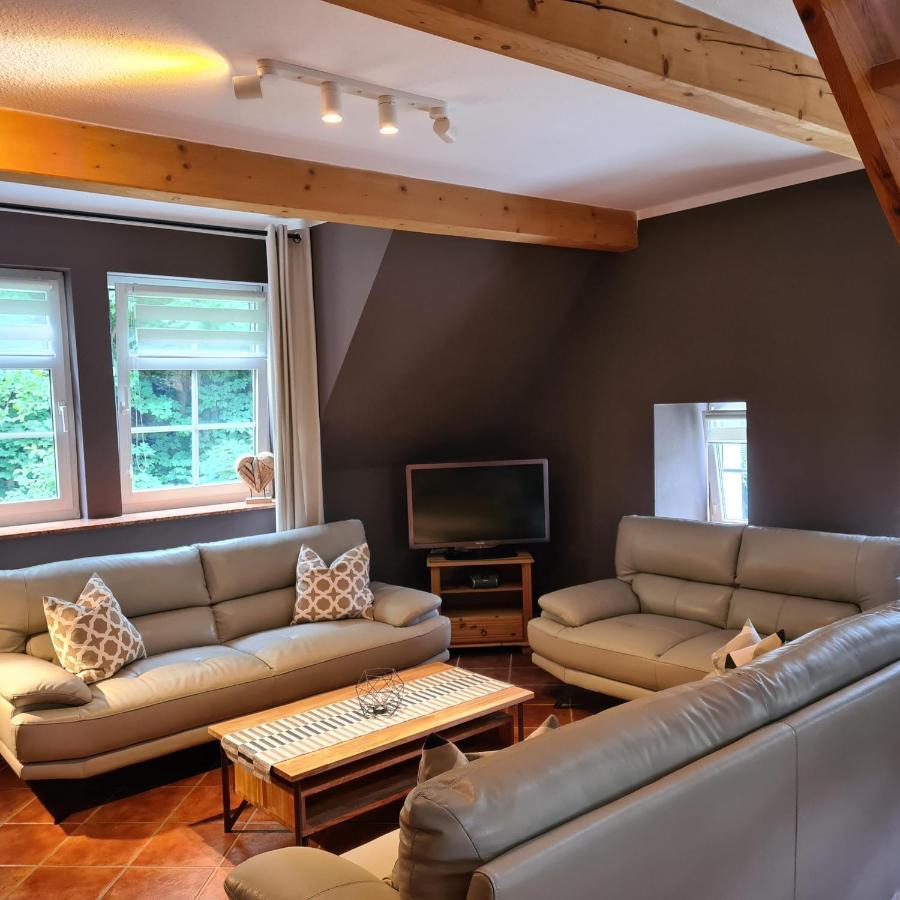 Appartements Im "Landhaus Am Frohnauer Hammer" Annaberg-Buchholz Eksteriør bilde